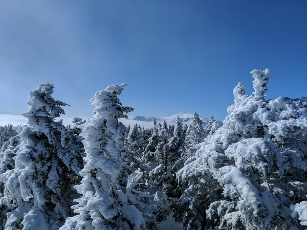 Carter Range, NH