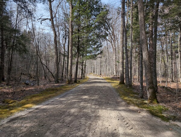 Lake Road, a dirt road through scenic Adirondack woods