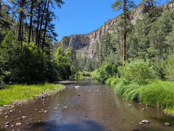 The Middle Fork of the Gila River, surrounded by green grass and distant cliffs