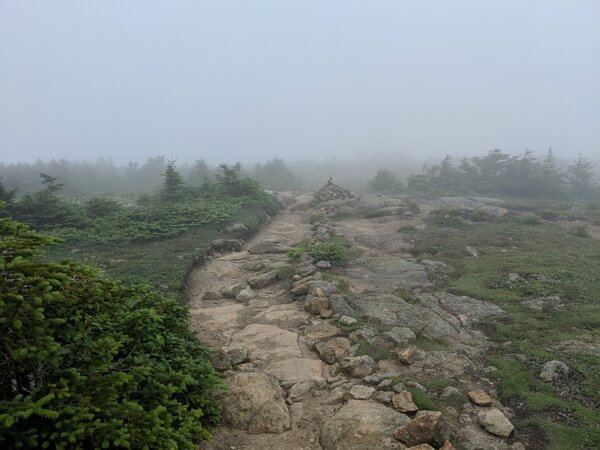 Trail near the summit of Mount Pierce, showing cloud cover and krummholz