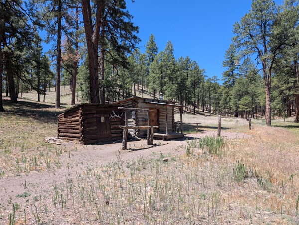 An old wooden cabin in a field of dry grass