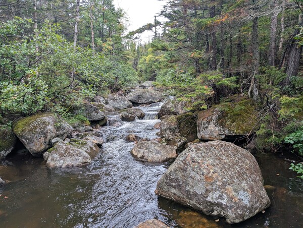 Crossing the Rocky Branch River