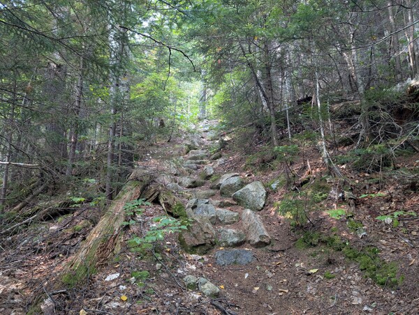 Rock steps on Stairs Col Trail.