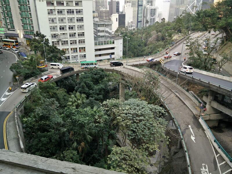 A photograph of a winding road over a steep, tree-covered slope
            in the Mid-Levels